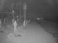 Webcam Punta Cana