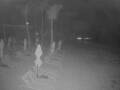 Webcam Punta Cana