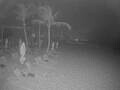 Webcam Punta Cana