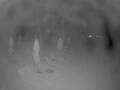 Webcam Punta Cana
