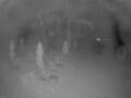 Webcam Punta Cana