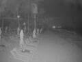 Webcam Punta Cana
