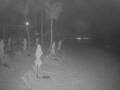 Webcam Punta Cana