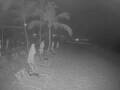 Webcam Punta Cana