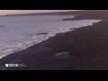 Webcam Son Bou (Minorca)