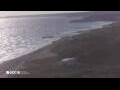 Webcam Son Bou (Minorca)