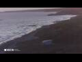 Webcam Son Bou (Menorca)