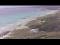 Webcam Son Bou (Minorca)