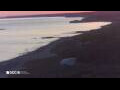 Webcam Son Bou (Menorca)