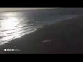 Webcam Son Bou (Menorca)