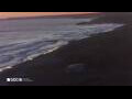Webcam Son Bou (Menorca)