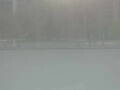 Webcam Detroit, Michigan