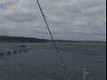 Webcam Costa Diadema