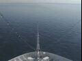 Webcam Costa Diadema