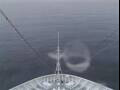 Webcam Costa Diadema