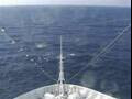 Webcam Costa Diadema