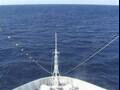 Webcam Costa Diadema