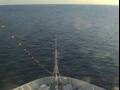 Webcam Costa Diadema