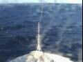 Webcam Costa Diadema