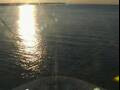Webcam Costa Diadema
