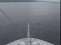 Webcam Costa Diadema