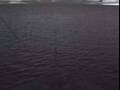 Webcam Costa Diadema