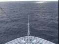 Webcam Costa Diadema