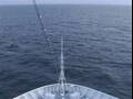 Webcam Costa Diadema
