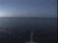 Webcam Costa Fascinosa
