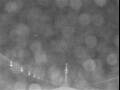 Webcam Costa Fascinosa