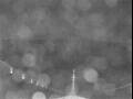 Webcam Costa Fascinosa