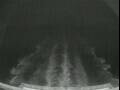 Webcam Costa Favolosa