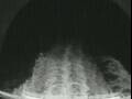 Webcam Costa Favolosa