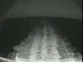 Webcam Costa Favolosa
