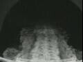 Webcam Costa Favolosa
