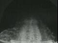 Webcam Costa Favolosa