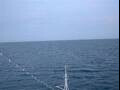 Webcam Costa Deliziosa