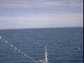 Webcam Costa Deliziosa