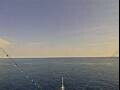 Webcam Costa Pacifica