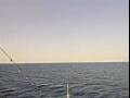 Webcam Costa Pacifica