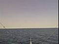 Webcam Costa Pacifica