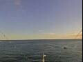 Webcam Costa Pacifica