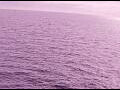 Webcam AIDAperla