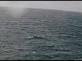 Webcam AIDAperla