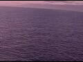 Webcam AIDAperla