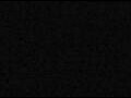 Webcam AIDAperla