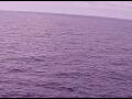 Webcam AIDAperla