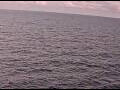 Webcam AIDAperla