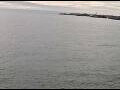 Webcam AIDAperla