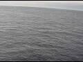 Webcam AIDAperla